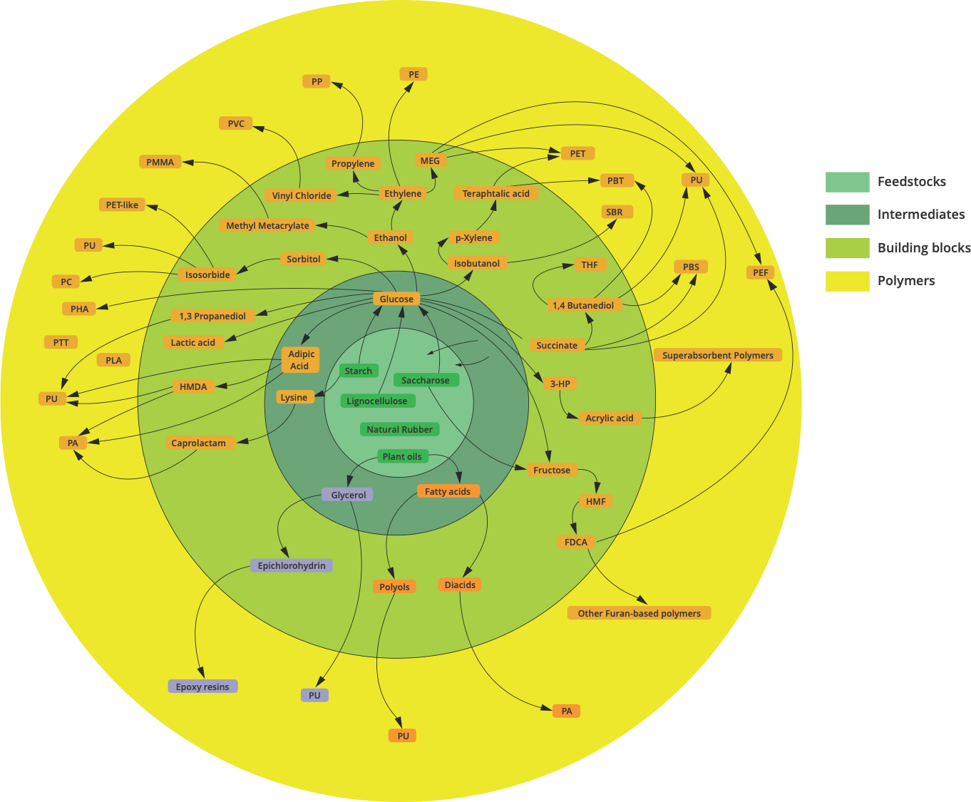 Polymères biosourcés à partir de la classification cartographique de la biomasse